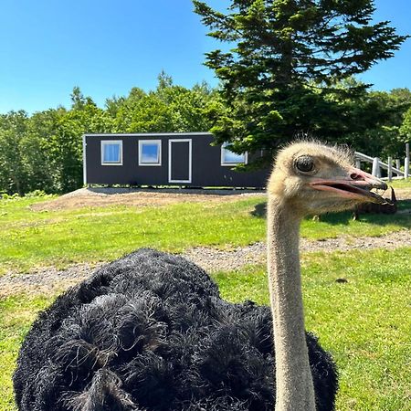 Margo'S Garden Farmstay, Kiroro 赤井川 外观 照片