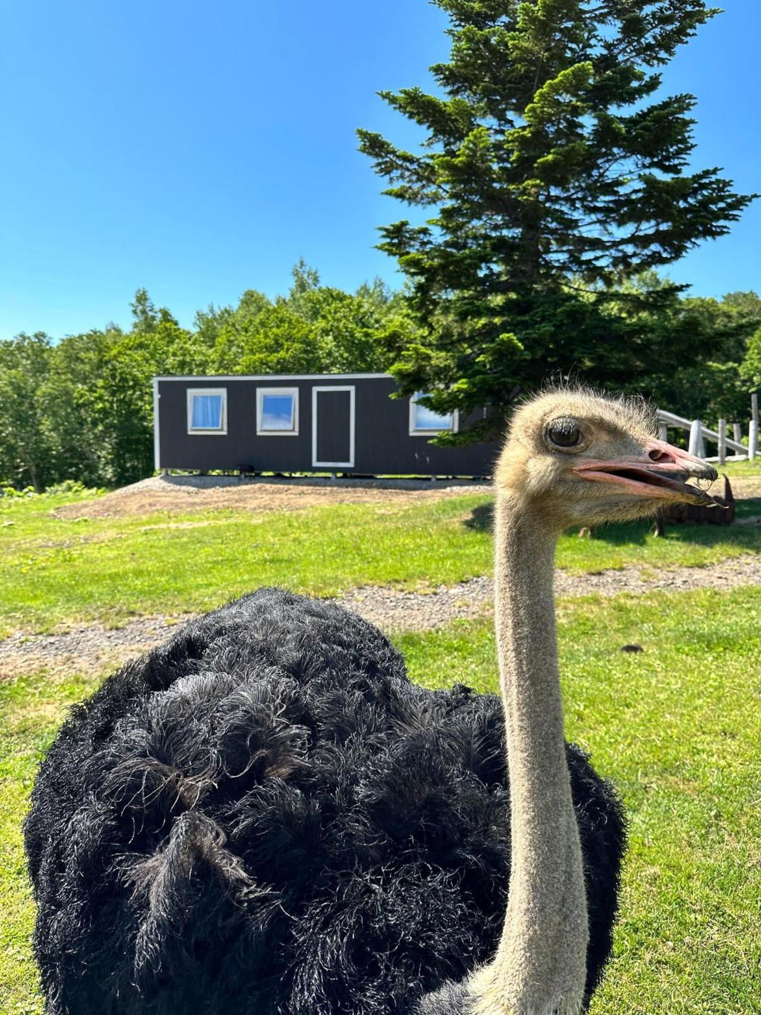 Margo'S Garden Farmstay, Kiroro 赤井川 外观 照片